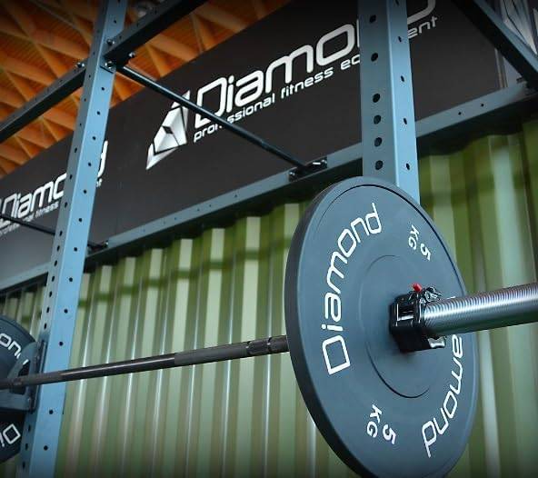 Disco Bumper Training